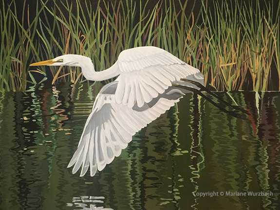 Egret in Flight 40x30