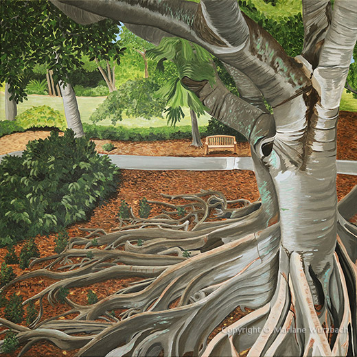 Marie Selby’s Ficus