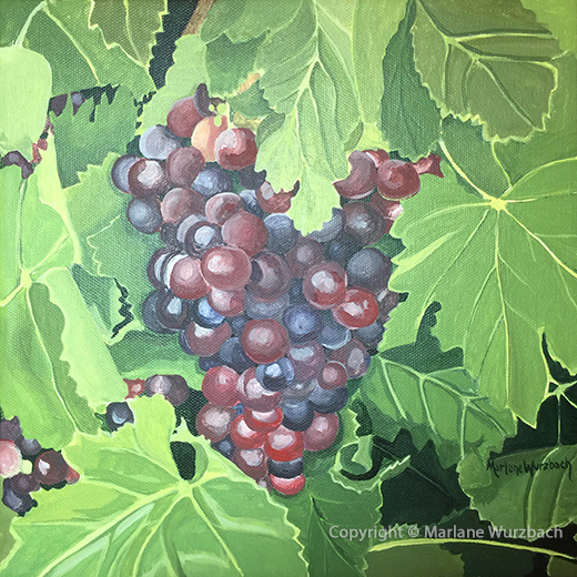 “Peel Me a Grape” 10”x10” acrylic