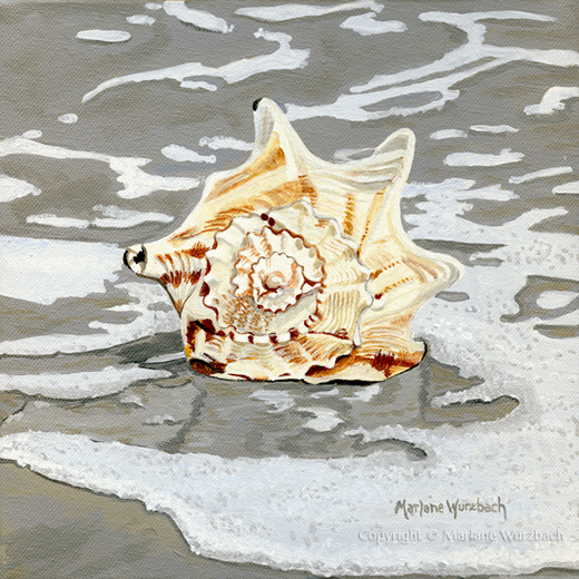 Conch II