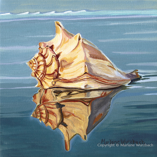 Conch Reflection