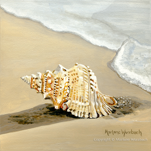 Murex Seashell