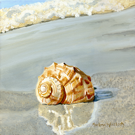 She Sells Sea Shells