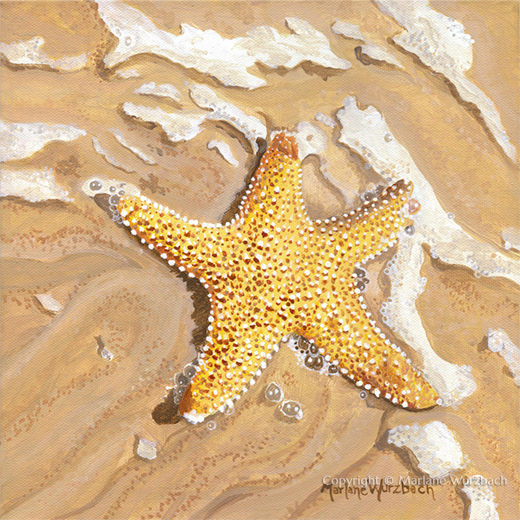 Starfish